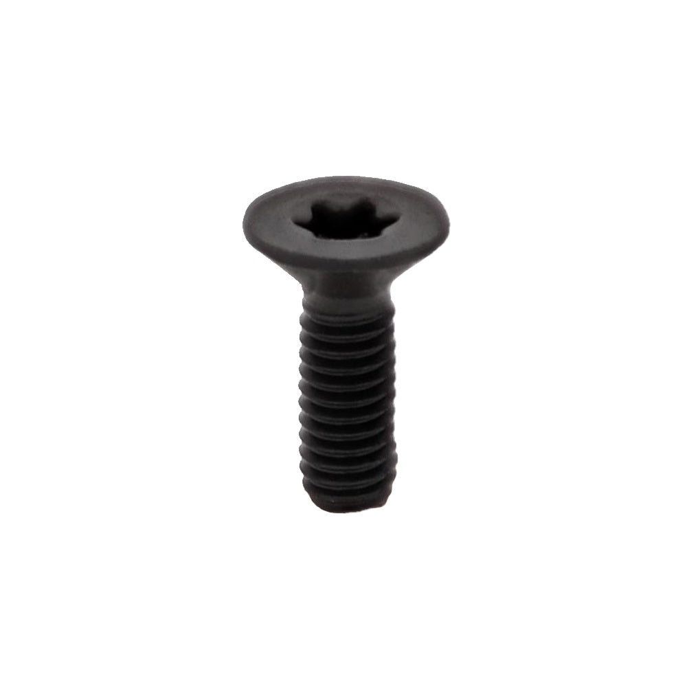 Yamaha TW200 - Black Stainless Brake Master Cylinder Cover Screws (Set of 2)